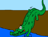 Disegno Alligatore che entra nell'acqua  pitturato su giovanni 005