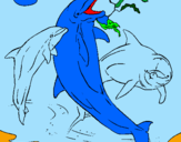 Disegno Delfini che giocano  pitturato su eros