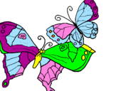 Disegno Farfalle pitturato su alice