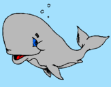 Disegno Balena timida  pitturato su elsa