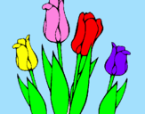 Disegno Tulipani  pitturato su lauren13579