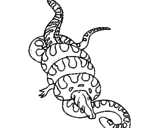 Disegno Anaconda e caimano  pitturato su filo                     
