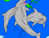 Disegno Delfini che giocano  pitturato su michele