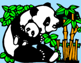 Disegno Mamma panda  pitturato su g