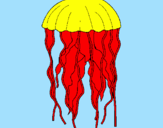 Disegno Medusa  pitturato su eva
