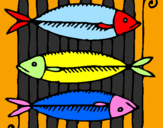 Disegno Pesce pitturato su ROSA GIULIA