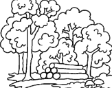 Disegno Bosco  pitturato su bosco