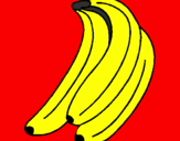 Disegno Banane  pitturato su gelso