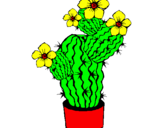 Disegno Fiori di cactus  pitturato su elena cactusa