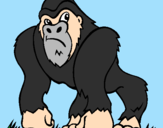 Disegno Gorilla pitturato su giovanni