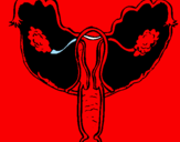Disegno Vagina pitturato su arianna