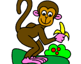 Disegno Scimmietta  pitturato su nicolò