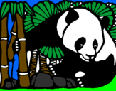 Disegno Orso panda con bambù  pitturato su mirko