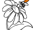 Disegno Margherita con ape  pitturato su luisa