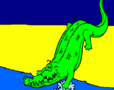 Disegno Alligatore che entra nell'acqua  pitturato su maximo