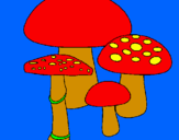 Disegno Funghi pitturato su DAVIDE