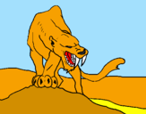 Disegno Tigre con affilati canini  pitturato su  alessandro preiti