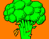 Disegno Broccoli  pitturato su daniele