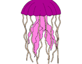 Disegno Medusa  pitturato su federico