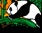 Disegno Oso panda che mangia  pitturato su Matteo