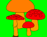 Disegno Funghi pitturato su DIANA E GLORIA