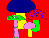 Disegno Funghi pitturato su JO