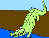 Disegno Alligatore che entra nell'acqua  pitturato su michele
