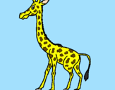 Disegno Giraffa  pitturato su nicole