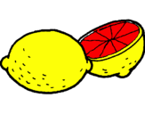 Disegno limone  pitturato su giada g.