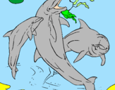 Disegno Delfini che giocano  pitturato su fr
