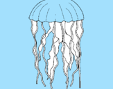 Disegno Medusa  pitturato su giada