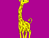 Disegno Giraffa  pitturato su maurizio fuselli