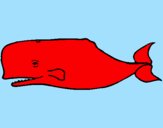Disegno Balena blu pitturato su delfino