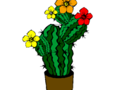 Disegno Fiori di cactus  pitturato su FEDE