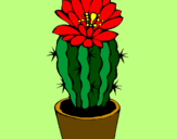 Disegno Cactus fiorito  pitturato su valeria