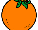 Disegno arance  pitturato su eliana