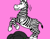 Disegno Zebra che salta sulle pietre  pitturato su zaira