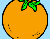 Disegno arance  pitturato su anna
