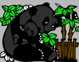 Disegno Mamma panda  pitturato su emmachiara