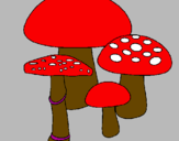 Disegno Funghi pitturato su matilde 05