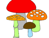 Disegno Funghi pitturato su antonella