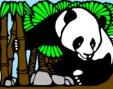 Disegno Orso panda con bambù  pitturato su maia