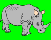 Disegno Rinoceronte  pitturato su VINCENZO