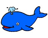 Disegno Balena che spruzza  pitturato su simona