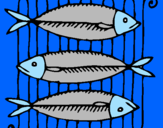 Disegno Pesce pitturato su riccardo