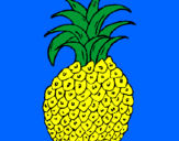 Disegno ananas  pitturato su ANNALISA