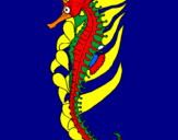 Disegno Cavalluccio marino orientale pitturato su ippocampo2
