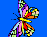 Disegno Farfalla  pitturato su giulia vil