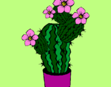 Disegno Fiori di cactus  pitturato su Anna