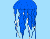 Disegno Medusa  pitturato su fabio